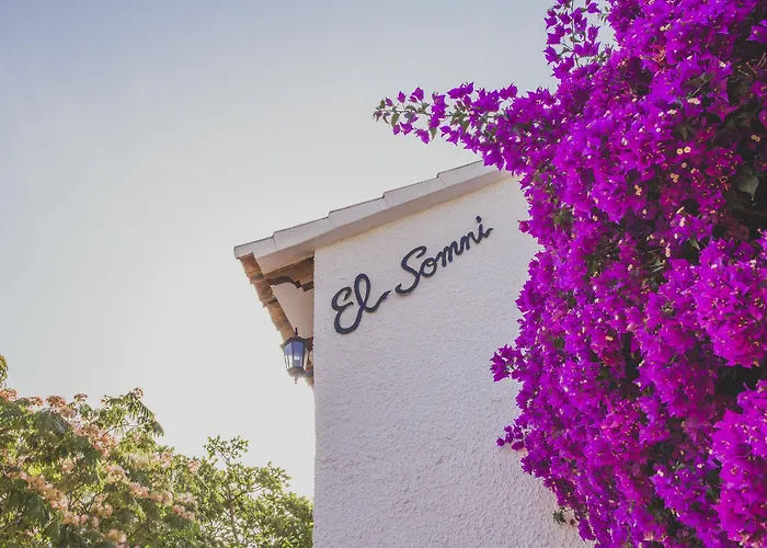 Somni Denia